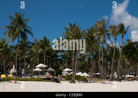 Front de mer, sur la plage de Chaweng, Koh Samui, Thaïlande. Banque D'Images