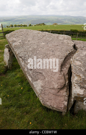 Arthur's Stone chambre funéraire néolithique près de Dorstone/Brewardine Herefordshire Banque D'Images