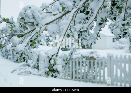 Une branche est le poids de la neige et se bloque en bas avant d'une clôture blanche sur une route de campagne. Banque D'Images