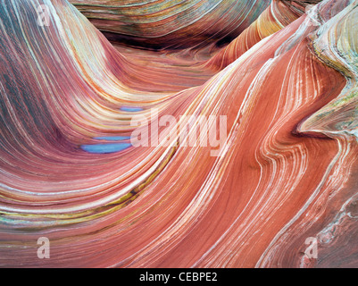 Sandtone Coyote Buttes North dans la formation, l'onde. Paria Canyon Vermillion Cliffs Wilderness. Utah/Arizona Banque D'Images