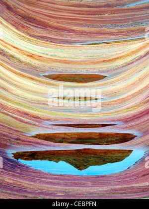 Formation Sandtone et piscine de l'eau en Amérique du Coyote Buttes, l'onde. Paria Canyon Vermillion Cliffs Wilderness. Utah/Arizona Banque D'Images