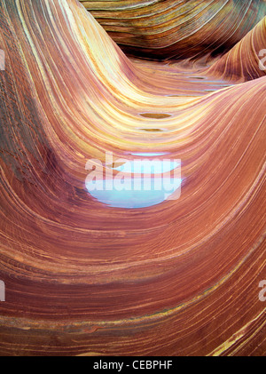 Formation Sandtone et piscine de l'eau en Amérique du Coyote Buttes, l'onde. Paria Canyon Vermillion Cliffs Wilderness. Utah/Arizona Banque D'Images