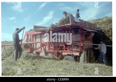 Batteuse utilisée sur Morton's farm en Holme sur Spalding Moore Banque D'Images