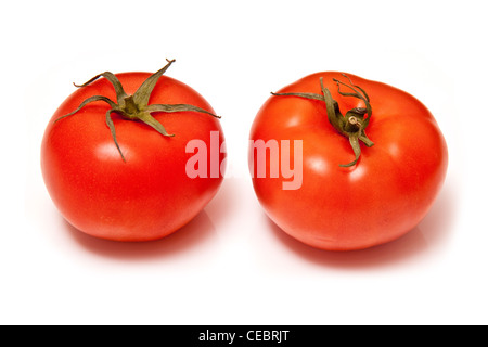 Tomates, isolé sur un fond blanc studio. Banque D'Images