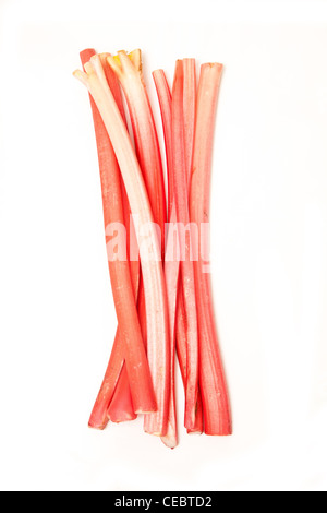 Les bâtonnets de rhubarbe ou non cuites tiges isolated on a white background studio. Banque D'Images