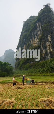 L'homme et la femme à côté de la récolte de la récolte du riz aux agriculteurs de calcaire karstique près de Yangshuo République populaire de Chine Banque D'Images