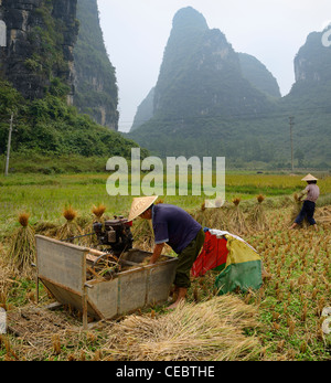 Le groupement d'agriculteurs et de paille de la récolte du riz avec des pics calcaires karstiques yangshuo près de république populaire de Chine Banque D'Images