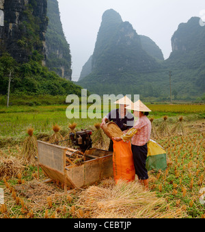 Mari et femme d'ensachage agriculteurs récolte de riz récolte dans le champ avec des pics calcaires karstiques yangshuo près de république populaire de Chine Banque D'Images