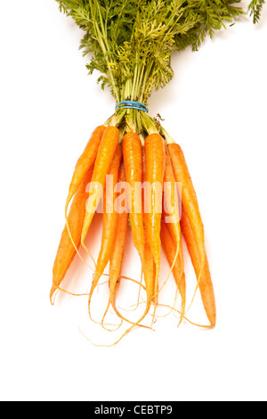 Botte de carottes fraîches isolées sur fond blanc un studio. Banque D'Images