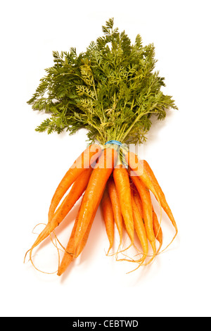 Botte de carottes fraîches isolées sur fond blanc un studio. Banque D'Images