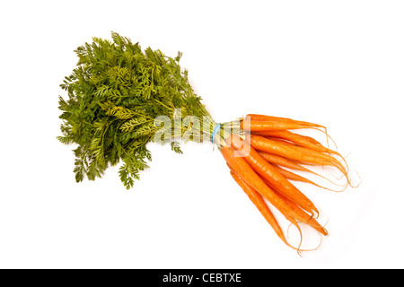 Botte de carottes fraîches isolées sur fond blanc un studio. Banque D'Images