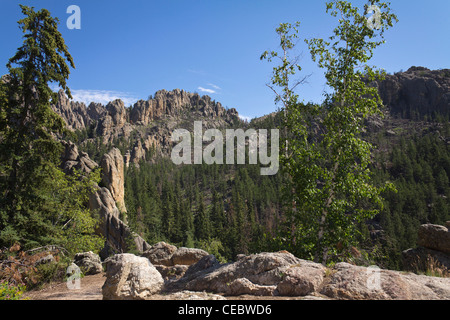 Black Hills National Forest Custer State Park Cathedral Spires South Dakota USA US un beau paysage de montagne photos image personne horizontal haute résolution Banque D'Images