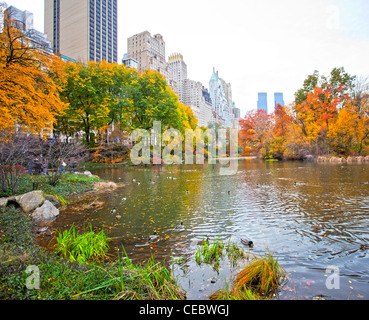 Central Park à New York au cours de l'automne Banque D'Images