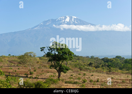 Kilimandjaro vu de Moshi en Tanzanie Banque D'Images