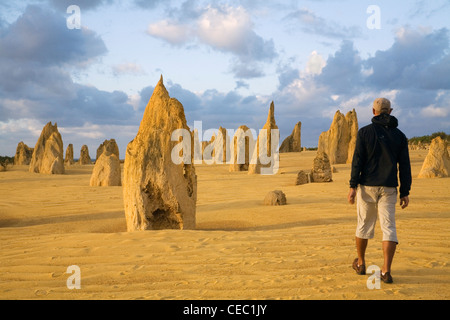 Marcher parmi les piliers de calcaire du Désert des Pinnacles dans le Parc National de Nambung. Cervantes, Australie occidentale, Australie Banque D'Images