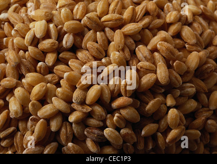 Les grains de blé entier, full frame Banque D'Images