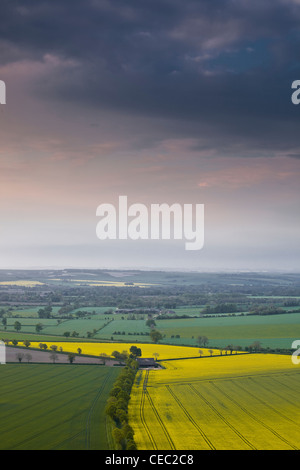 La recherche à travers la vallée de Pewsey, Wiltshire, Angleterre, Royaume-Uni. Le soleil se lève à l'est de la création d'une lueur rose dans le ciel au-dessus. Banque D'Images