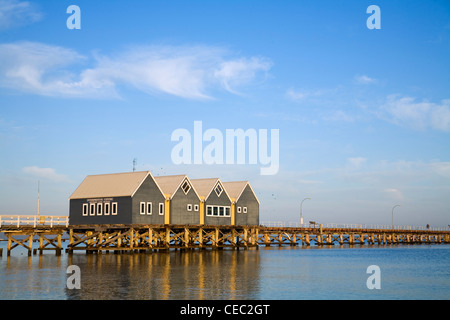 À l'aube de Busselton Jetty. , Busselton Geographe Bay, Australie occidentale, Australie Banque D'Images