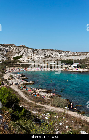Calanques de Saint Esteve, Ile de l'archipel du Frioul, Ratonneu, Marseille ou Marseille, Provence-Alpes-Côte d'Azur, France, Europe Banque D'Images
