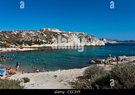 Calanques de Saint Esteve, Ile de l'archipel du Frioul, Ratonneu, Marseille ou Marseille, Provence-Alpes-Côte d'Azur, France, Europe Banque D'Images