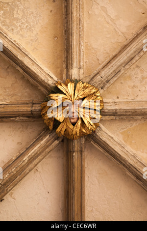 Homme vert patron sur le plafond de cathédrale de Norwich cloîtres, Norwich, Norfolk, Angleterre. Banque D'Images