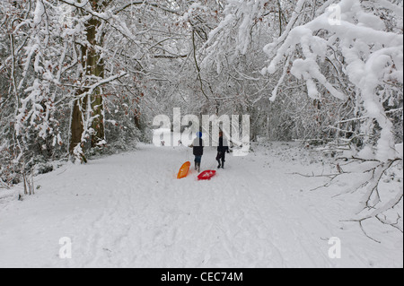 Un couple de garçons marchant dans la neige a couvert des bois à traîneaux. Hastings. East Sussex. England UK Banque D'Images