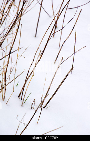 Un paysage rural couvertes de neige dans la campagne Banque D'Images
