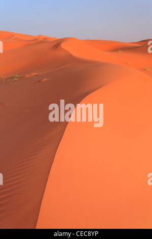 Le Maroc, Merzouga, Erg Chebbi Desert Banque D'Images