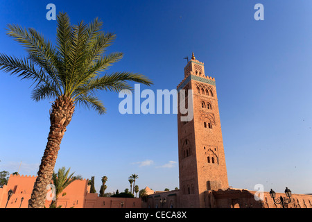 Le Maroc, Marrakech, la Mosquée Kotoubia Banque D'Images