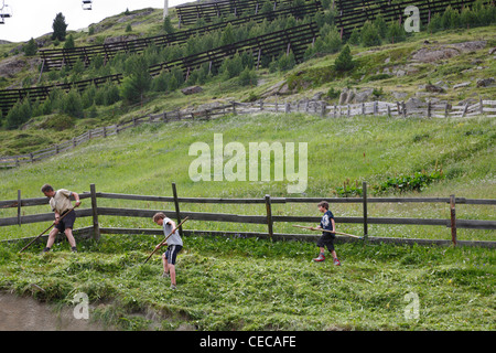 Le foin de la famille d'agriculteurs dans l'agriculture dans le village alpin vent près de Sölden, Autriche. Toutes les parcelles d'herbe dans le village sont rognées. Banque D'Images