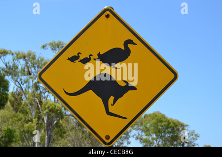 Kangaroo et duck crossing sign Banque D'Images