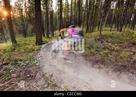 Courtney Feldt mountain bikes sur singletrack poussiéreux du sentier près de Whitefish Whitefish, Montana, USA (MR) Banque D'Images