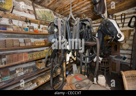 Nevada City, Montana. Maison de ville restaurée, maintenant une piscine musée historique, avec 90 bâtiments historiques, d'objets et de mobilier. Banque D'Images