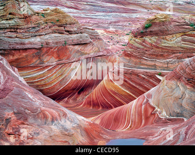 Sandtone Coyote Buttes North dans la formation, l'onde. Paria Canyon Vermillion Cliffs Wilderness. Utah/Arizona Banque D'Images