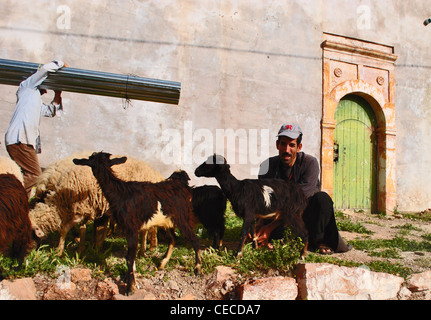 Chevrier avec le bétail dans Immouzzer, Maroc Banque D'Images