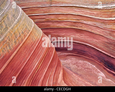 Sandtone Coyote Buttes North dans la formation, l'onde. Paria Canyon Vermillion Cliffs Wilderness. Utah/Arizona Banque D'Images