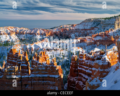 La neige dans le Parc National de Bryce Canyon, Utah Banque D'Images