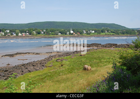 La rivière Annapolis de la rive sud à Annapolis Royal, en Nouvelle-Écosse, Canada Banque D'Images