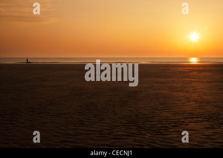 Un homme promenait son chien au lever du soleil sur la plage déserte à Scarborough, Yorkshire, UK. Banque D'Images