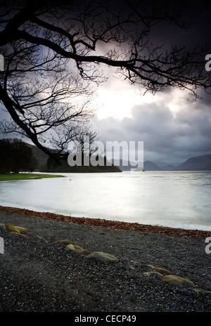 Afficher le long de la plage de galets à Derwent Water. Les branches d'un arbre voisin sont silhouetté contre le ciel d'orage. Banque D'Images