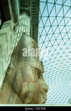 L'Angleterre, Londres, British Museum, Statue de la tête de pharaon égyptien Amenhotep III dans la Grande Cour Banque D'Images