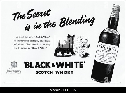 Publicité originale de 1950 news publicité magazine BLACK & WHITE scotch whisky par nomination à la fin le roi George VI