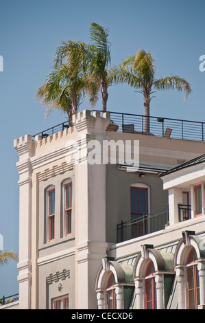 Palmiers sur un toit appartenant à un condominium sur le Mississippi riverfront à New Orleans Banque D'Images