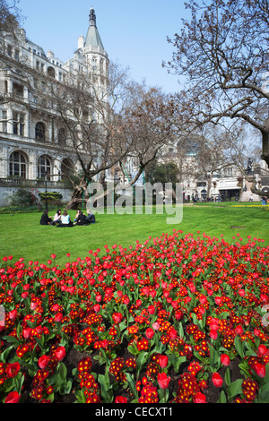 Angleterre, London, Victoria Embankment Gardens, fleurs de printemps Banque D'Images