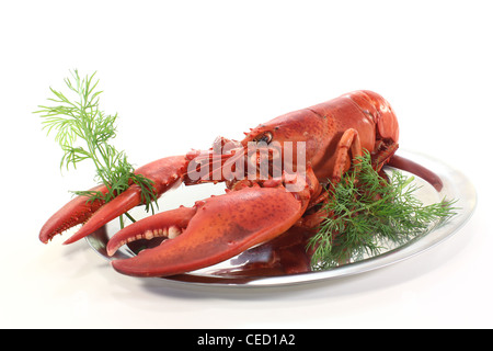 Homard fraîchement cuit sur un plat avec de l'aneth Banque D'Images