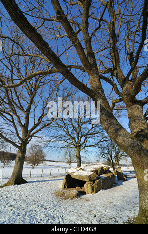 Le Grand Dolmen de Wéris, un portail mégalithique tombe de la neige en hiver, Ardennes, Luxembourg, Belgique Banque D'Images