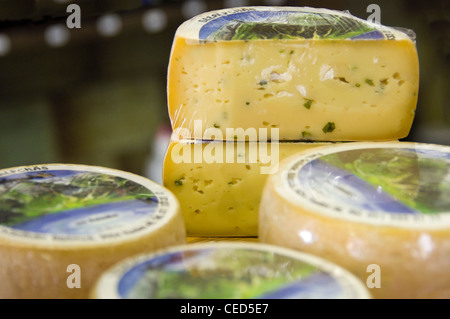 Close up horizontale de fromage Appenzeller traditionnels sur l'affichage à une épicerie fine Banque D'Images