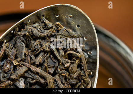 Les feuilles de thé Lapsang Souchong Banque D'Images