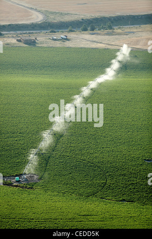 Une vue aérienne des terres agricoles et de pivot d'arrosage arroseurs les champs. Banque D'Images