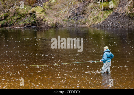 Pêcheur à la mouche dans la rivière Oykel, Sutherland, Scotland, UK Banque D'Images